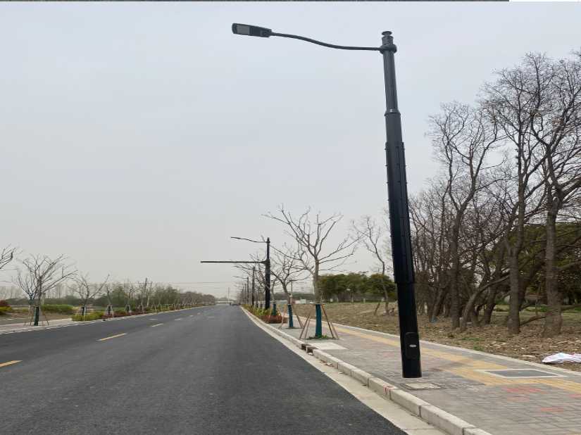 株洲县上海综合杆 太阳能路灯工程